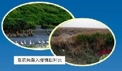 【 Customs Knowledge 】 Teach you how to understand the 